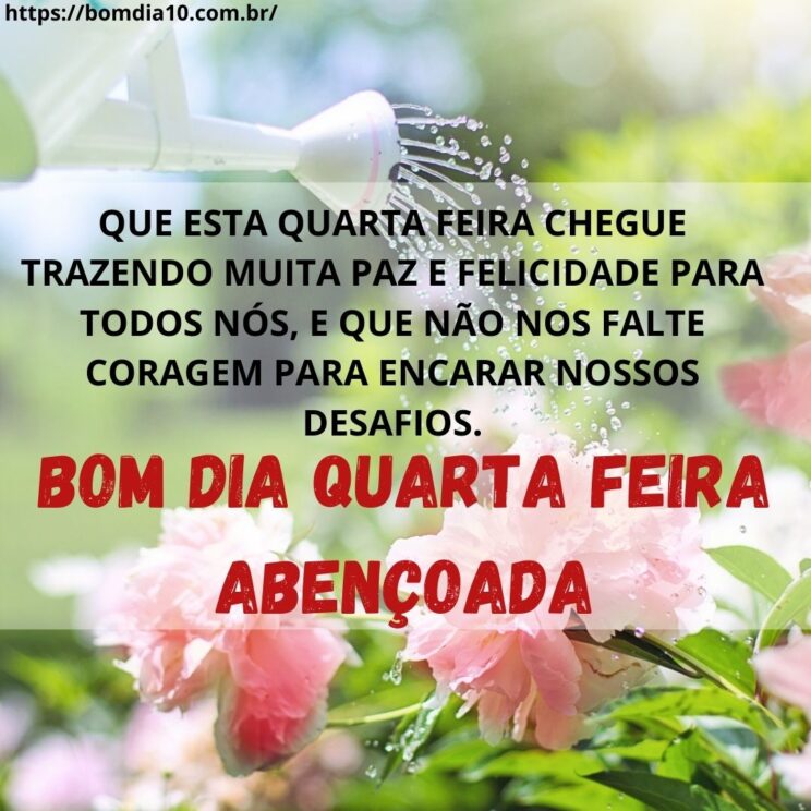 Bom Dia Quarta Feira Aben Oada Mensagens De Bom Dia