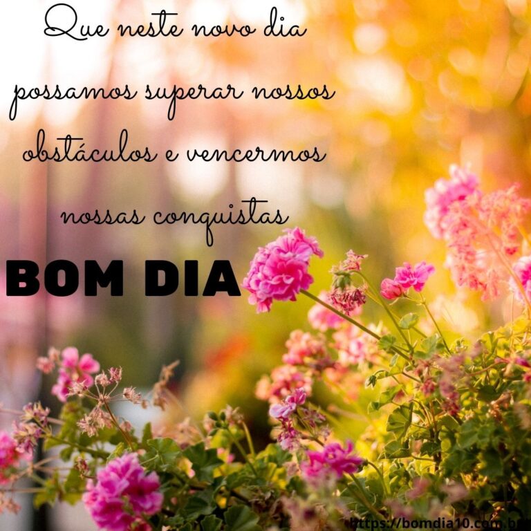 mensagem de bom dia com flores lindas imagens