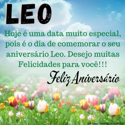 Parabéns Leo e feliz aniversário 2