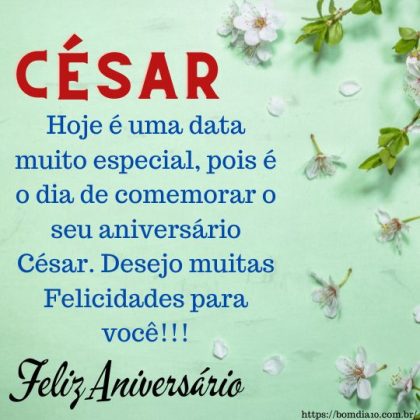 Parabéns e Feliz aniversário César 2