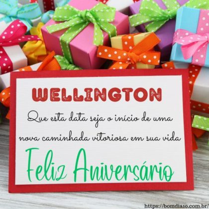 Parabéns e feliz aniversário Wellington 2