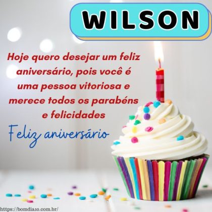 Parabéns e feliz aniversário Wilson 1