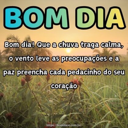 Bom dia! Que a chuva caia leve, lavando as preocupações e regando a alegria no seu coração. Que o dia floresça com fé e sorrisos.